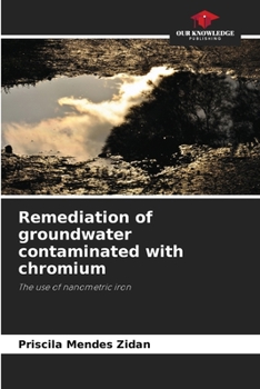 Paperback Remediation of groundwater contaminated with chromium Book