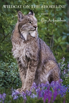 Paperback Wildcat on the Shoreline Book