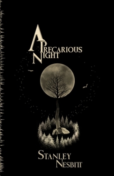 Paperback A Precarious Night Book