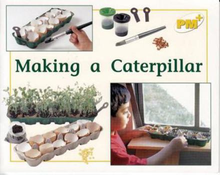 Paperback PM Non-fiction Plus (Progress with Meaning) Book