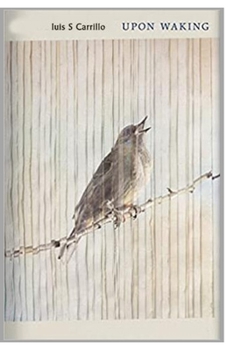 Paperback The Waking Book