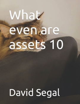 Paperback What even are assets 10 Book