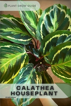 Calathea Houseplant: Plants guide