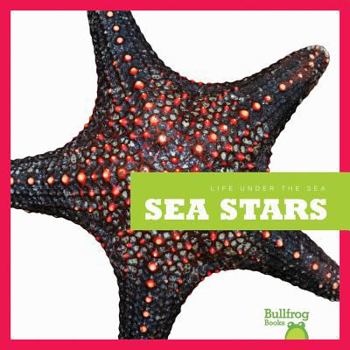 Sea Stars - Book  of the Life Under the Sea