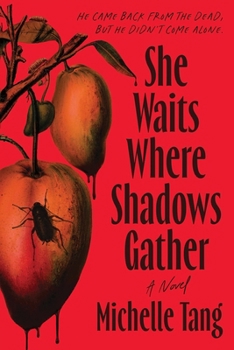 Paperback She Waits Where Shadows Gather Book