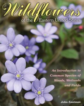 Paperback Wildflowers of the Eastern United States Book
