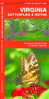 Virginia Butterflies & Moths: A Folding Pocket Guide to Familiar Species