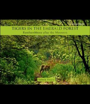 Hardcover Tigers in the Emerald Forest: Ranthambhore After the Monsoon Book