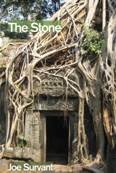 Paperback The Stone Book