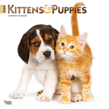 Calendar Kittens & Puppies 2024 Square Foil Book