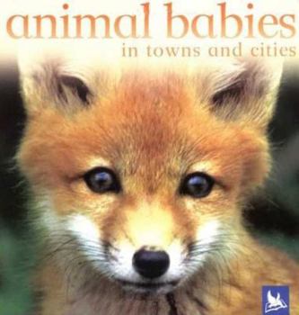 Animal Babies In Towns and Cities (Animal Babies) - Book  of the Animal Babies