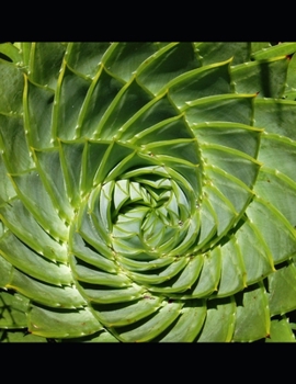 Paperback A Percy Chalker Case: Volume Seven Book