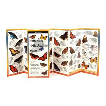 Paperback Common Butterflies of the Mid-Atlantic Book