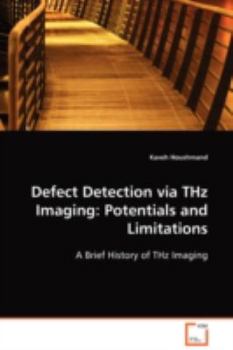 Paperback Defect Detection via THz Imaging: Potentials and Limitations Book