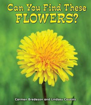 Can You Find These Flowers? - Book  of the All About Nature