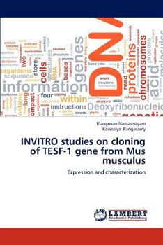 Paperback Invitro Studies on Cloning of Tesf-1 Gene from Mus Musculus Book
