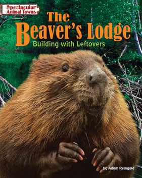 Paperback The Beaver's Lodge: Building with Leftovers Book
