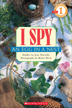 Library Binding I Spy an Egg in a Nest Book