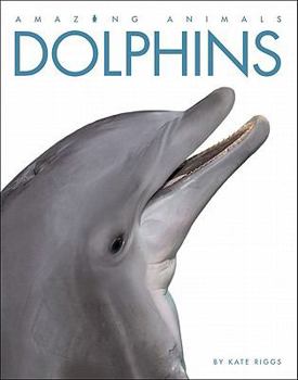 Paperback Amazing Animals: Dolphins Book