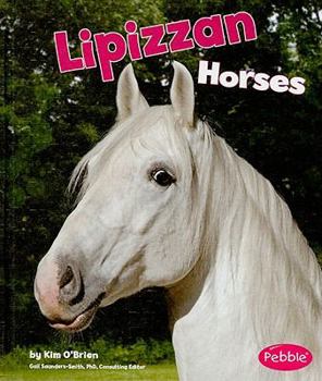 Library Binding Lipizzan Horses Book