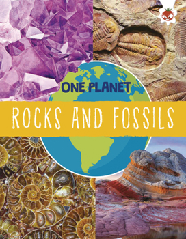 Library Binding Rocks and Fossils Book