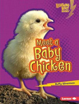 Meet a Baby Chicken - Book  of the Baby Farm Animals