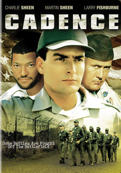 DVD Cadence Book