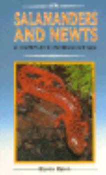 Paperback Salamanders and Newts Book