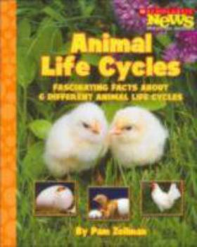 Paperback Animal Life Cycles Book