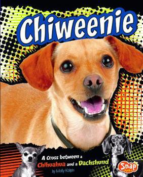 Hardcover Chiweenie: A Cross Between a Chihuahua and a Dachshund Book