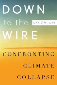 Hardcover Down to the Wire: Confronting Climate Collapse Book