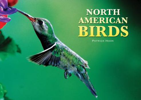 Hardcover North American Birds Book