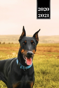 Doberman Dog Calendar Week Planner 2020 / 2021 - Wide Meadow: Pup Puppy Doggie Pet Owner Weekly Bullet Journal Notebook Diary in 6” x 9” Inch Pocket Size