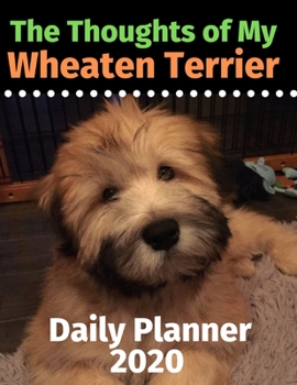 Paperback The Thoughts of My Wheaten Terrier: Daily Planner 2020 Book