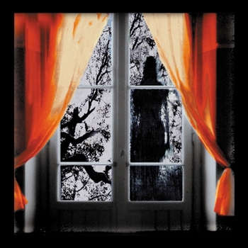 Paperback Late: Poems Book