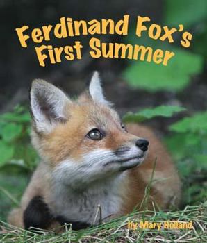 Hardcover Ferdinand Fox's First Summer Book