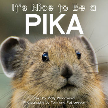 Board book It's Nice to Be a Pika Book