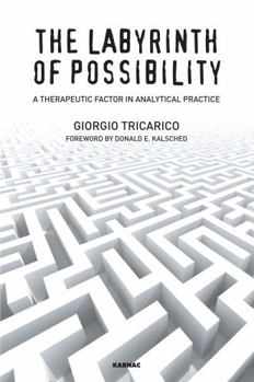 Paperback The Labyrinth of Possibility: A Therapeutic Factor in Analytical Practice Book
