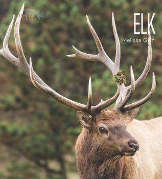 Elk - Book  of the Living Wild