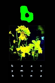 Hardcover The bootymachine 2007: 366 days of experimental narration Book