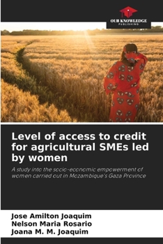 Level of access to credit for agricultural SMEs led by women: A study into the socio-economic empowerment of women carried out in Mozambique's Gaza Province