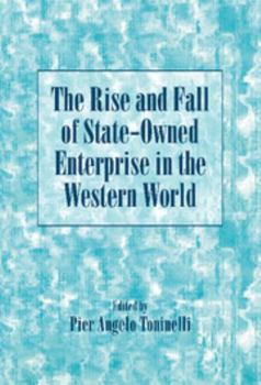 The Rise and Fall of State-Owned Enterprise in the Western World - Book  of the Comparative Perspectives in Business History