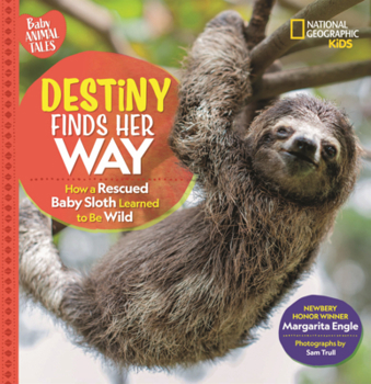 Destiny Finds Her Way: How a Rescued Baby Sloth Learned to Be Wild