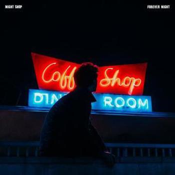 Vinyl Forever Night Book