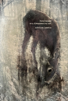 Paperback forgiveness is a disappearing act Book