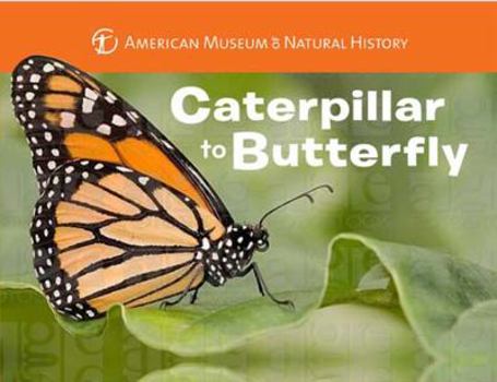 Caterpillar to Butterfly - Book  of the Science for Toddlers