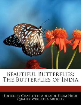 Paperback Beautiful Butterflies: The Butterflies of India Book