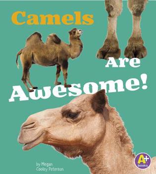 Camels Are Awesome! - Book  of the Awesome Asian Animals