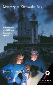 Paperback Mystery at Kittiwake Bay Book