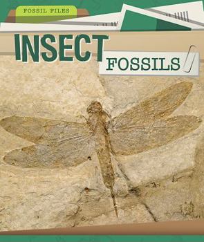 Library Binding Insect Fossils Book
